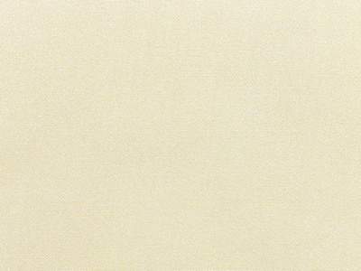 Sunbrella Canvas furniture fabric. Item number 5453-0000